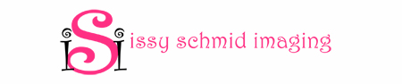 Issy Schmid Imaging logo